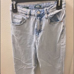 Light Washed Dad Jeans by Wild Fable